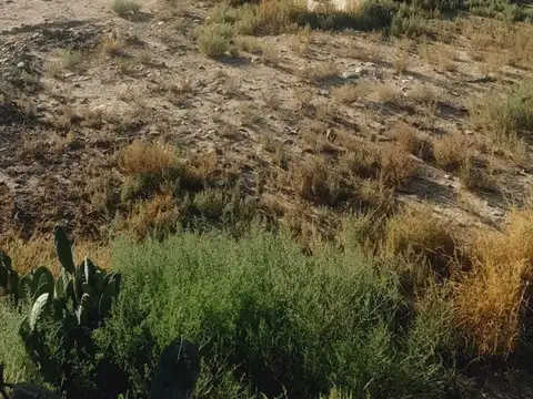 Terreno en Venta de 200,0 m2