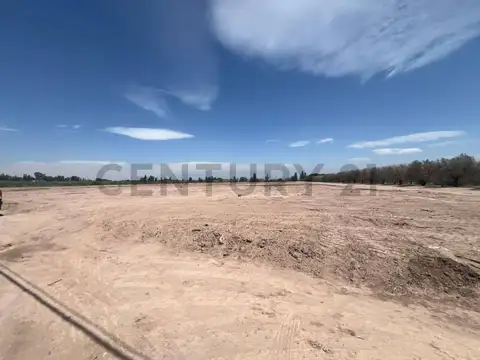 escorihuela y elpidio gonzalez 100, Piso 0