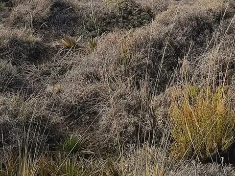 LOTE EN VENTA PUEBLO CHAPELCO