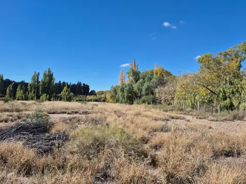 Terreno en Venta en Cruz de Piedra, USD 600.000