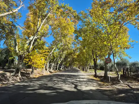 Terreno en Venta de 125238,0 m2