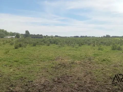 Chacra Rural 5 hectareas Progreso Canelones