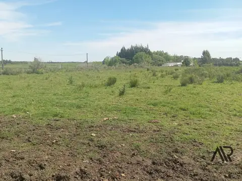 Chacra Rural 5 hectareas Progreso Canelones