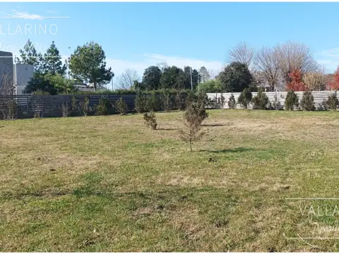 Camino Tiempo Libre 100