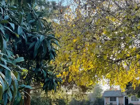 CASA QUINTA EN VENTA DE VICENZO GRANDE