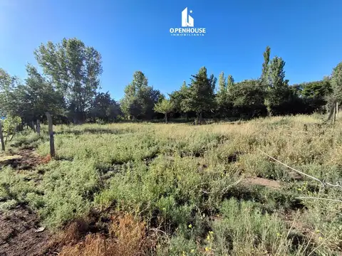 VISTA FLORES, TUNUYÁN