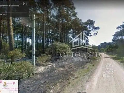 TERRENOS/FRACCIONES/LOTEOS - TERRENOS/FRACCIONES/LOTEOS - PUNTA BALLENA