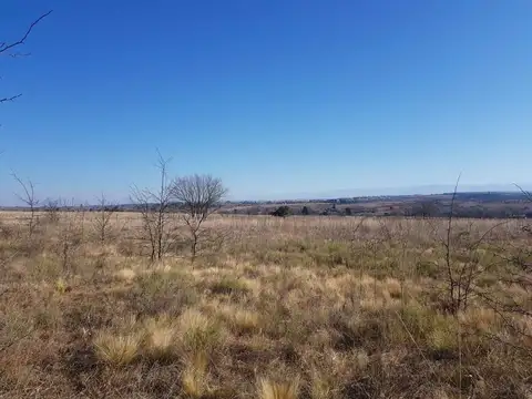 Campo en Venta con Alambrado