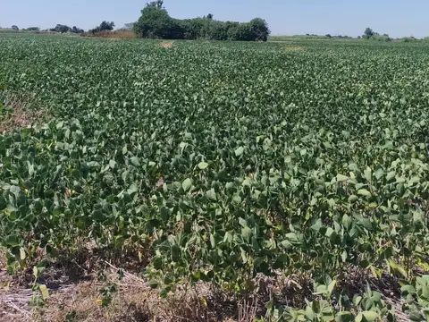 VENTA 13 HECTAREAS IDEAL DESARROLLO INDUSTRIAL