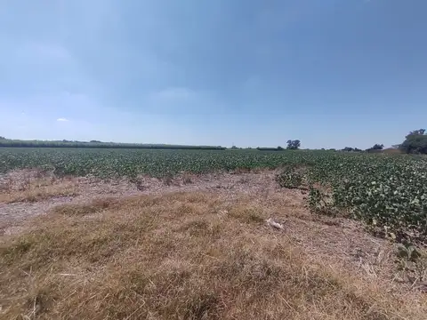 VENTA 13 HECTAREAS IDEAL DESARROLLO INDUSTRIAL