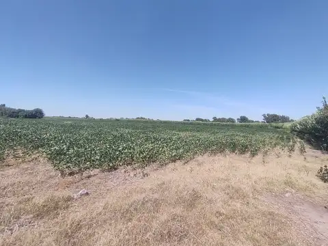 Campo en Venta de 13  ha