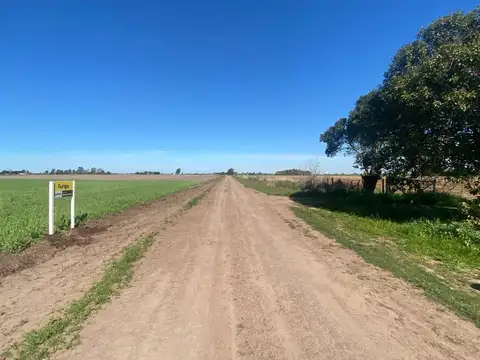 Campo - Venta - Argentina, General Lagos