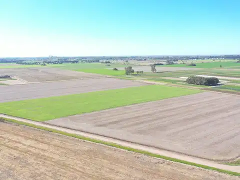 Campo - Venta - Argentina, General Lagos