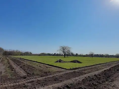 Lote en VENTA | Sector Abierto | Barrio SENDEROS 501 y 161 Joaquín Gorina La Plata