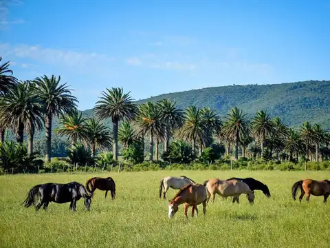 Chacra Marítima en Bella Vista - Lanzamiento 