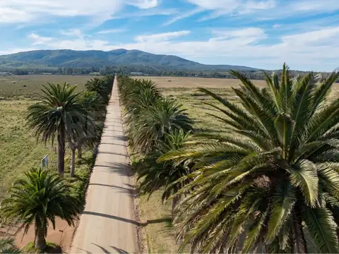 Chacra Marítima en Bella Vista - Lanzamiento 