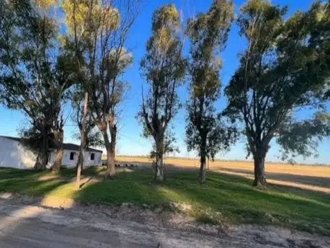 Terreno en Venta en Fincas Joven, USD 19.000