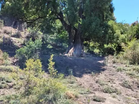 Terreno en Venta en San Martín de los Andes, USD 28.000
