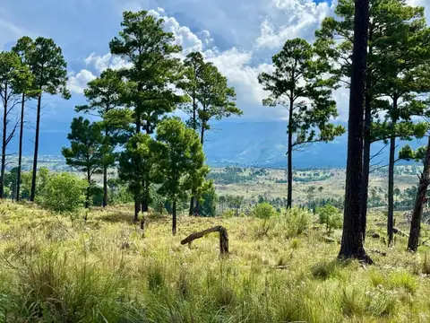 Terreno en Venta de 30000,0 m2
