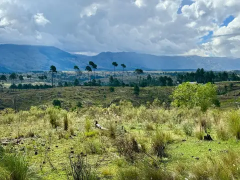 Terreno en Venta de 30000,0 m2