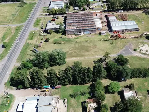 Boulevard Ovidio Lagos 1900