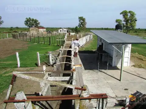 4338 ha ganaderas sobre Río Salado. Zona Argentina/Selva, Santiago del Estero.
