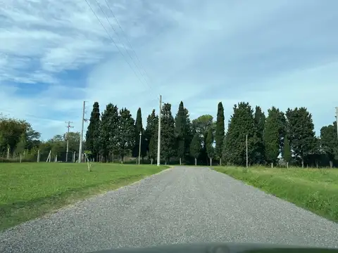 Terreno en Venta de 798,0 m2