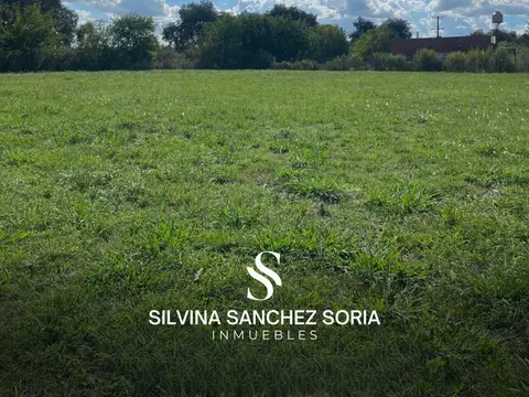 Terreno en Venta 40  mts Frente