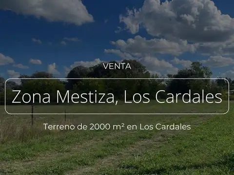 TERRENO EN VENTA, ZONA MESTIZA, LOS CARDALES