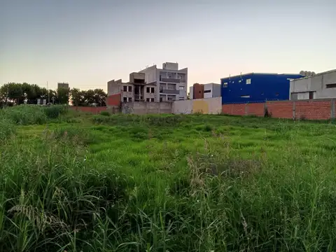 84 E/ 6 Y 7