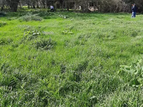 Campo en Venta Mixto