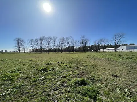 Galpon en Venta 253  mts Fondo