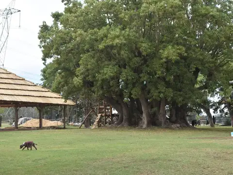 Venta Campo de 56 hectáreas en Ruta 34, Pilar, GBA Norte