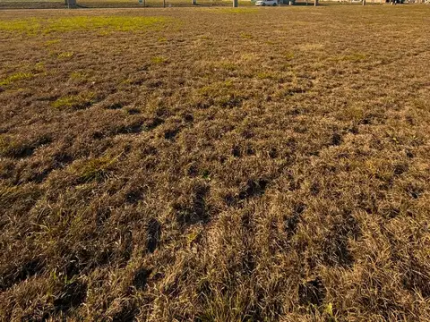 Terreno en Venta de 250,0 m2