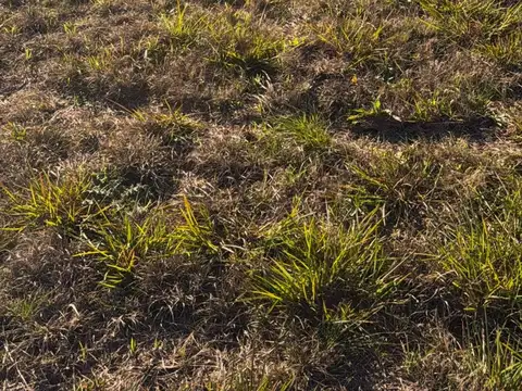 Terreno en Venta en Cuestas De Manantiales, USD 45.000