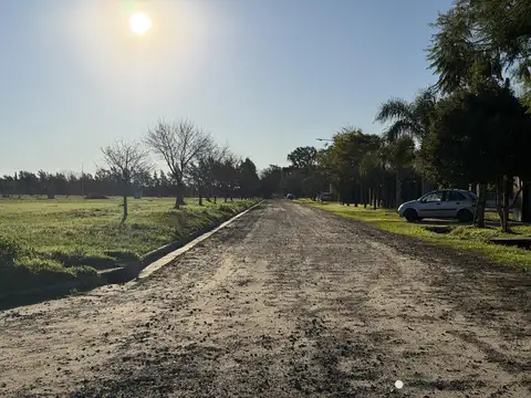 Terreno en Venta 31  mts Fondo