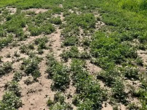 Lotes con servicios en venta Las Tapias Traslasierra
