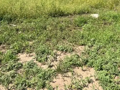 Terreno en Venta 36  mts Fondo