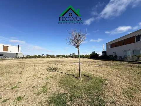 Costas - A la laguna - Lote 4 - Puertos del Lago