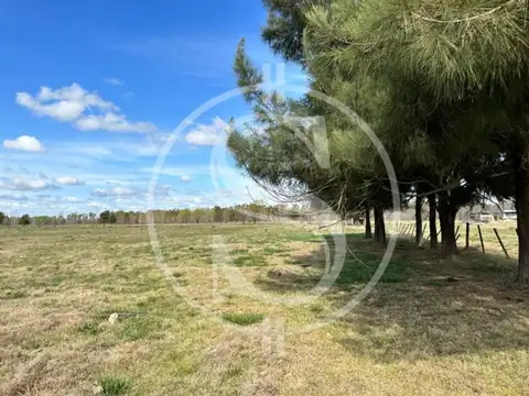 CHACRA DE 1 HECTAREA  CERCANO PUEBLO MERCEDES FINANCIADO
