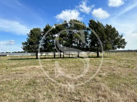 CHACRA DE 1 HECTAREA  CERCANO PUEBLO MERCEDES FINANCIADO