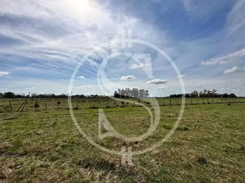 CHACRA DE 1 HECTAREA  CERCANO PUEBLO MERCEDES FINANCIADO