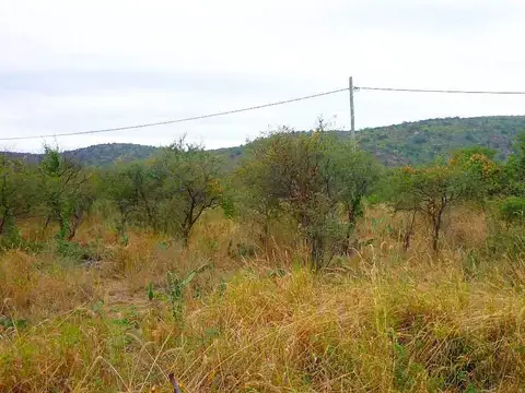 Terreno en Venta de 750,0 m2