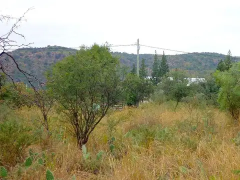 0500 - Los Algarrobos