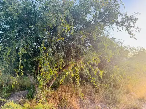 Figueroa Alcorta 1100