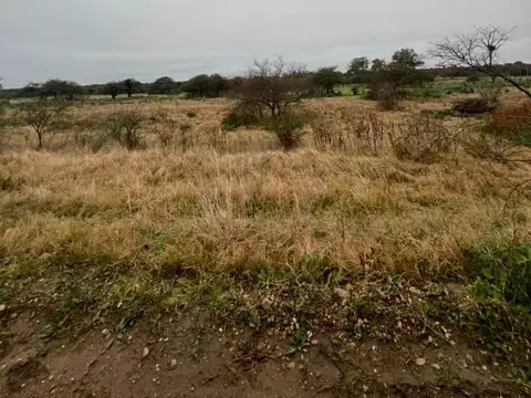 Campo en Venta Chacra