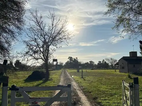 Terreno en Venta en Lisandro Olmos Etcheverry, USD 5.900