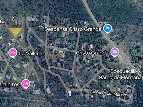 Alicia Moreu de Justo y Azucena Villaflor 100