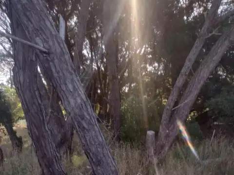 Terreno en Venta de 472,0 m2