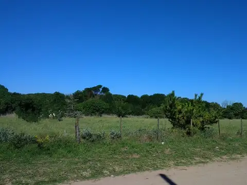 Terreno en Venta de 1041,0 m2